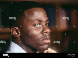 Luke fuchs -Fotos und -Bildmaterial in hoher Auflösung