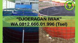 Paling Awet Pusat Terpal Kolam Bundar Di Sleman Cangkringan Pusat Terpal Kolam Bundar Di Sleman Depok Pusat Terpal Kolam Bundar Kolam Surabaya Pengawetan