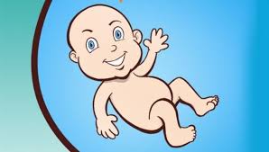 Book Review Inside Mommy S Tummy Tbr News Media