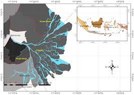 Apa kamu sedang dilanda rindu karena kekasih sedang nun jauh disana ? Sustainability Free Full Text The Opportunity Cost Of Labor For Valuing Mangrove Restoration In Mahakam Delta Indonesia Html