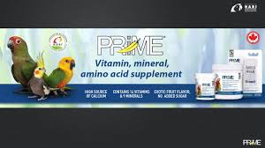 Parrot supplements, aids for good shell health, breeding aids or helping with energy; Prime Vitamin Mineral Amino Acid Supplement For Birds Hari