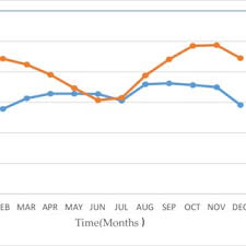 Image result for Tragia grandistipularis