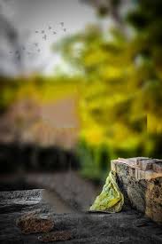 Blur Hd Picsart Hd Cb Background 2021 Full Hd Background Png Images Cb background full hd 2021. blur hd picsart hd cb background