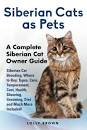 Finding a Siberian Cat to Rescue | LoveToKnow