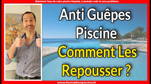 Pas top si on veut profiter des beaux jours sans être décidément, les odeurs naturelles sont de véritables alliées pour dissuader guêpes et frelons ! Anti Guepes Piscine Comment Les Repousser Youtube