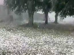 Chuva forte de granizo muda paisagem em sc: Com Tempo Instavel Ate Chuva De Granizo E Espetaculo No Pantanal Interior Campo Grande News