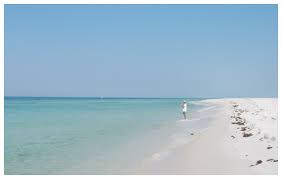 Maybe you would like to learn more about one of these? Enjoy The Beach At A Florida Panhandle State Park This Holiday Weekend Walton Outdoors