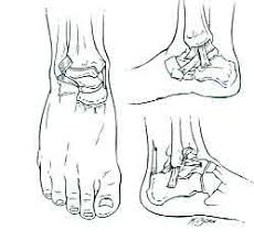 Ligaments are bands of tough connective tissue that connect bones and provide support to a joint. Ankle Sprain Sierra Pacific Orthopedics