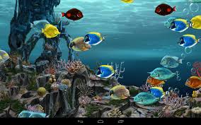 Mulai dari tema abstract, 3d, amoled, pemandangan, alam, anime. Wallpapers Bergerak 3d Wallpaper Cave