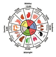 The Feng Shui Body Clock Time And Your Zodiac Sign Physical And Emotional Me Chinese Medicine Tcm Traditional Chinese Medicine Traditional Chinese Medicine