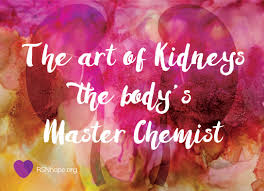 Kidneys Are Master Chemists Renal Support Network Kidney Renal Support Chemist
