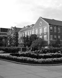 Haleigh Cox- her ultimate compilation