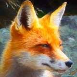 Kemono