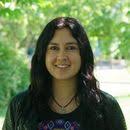 Universität Leipzig: Team