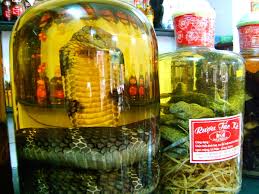And truly i was afraid, i was most afraid, but even so, honoured still more that he should seek my hospitality from. Snake Wine Wikipedia
