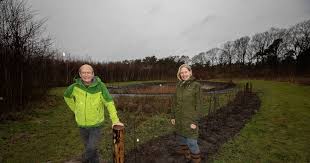 36 resultaten voor 'tanja groen'. Kunstroute Groene Lint Verbindt Het Dorp Met De Stad Kempen Ed Nl