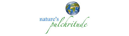 Preservatives In Natural Products Benzyl Alcohol Nature S Pulchritude