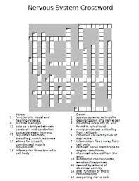 Maybe you would like to learn more about one of these? Nervous System Crossword Puzzle Teaching Resources