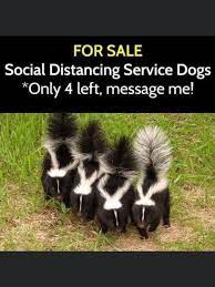 See more of advanced wildlife and pest control on facebook. Advanced Wildlife And Pest Control Pest Control Service 90 Photos Facebook