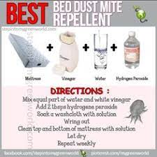Spend $20 get a $5 gift card on select beauty care items. 210 Bed Bugs Helps Ideas Bed Bugs Bugs Rid Of Bed Bugs