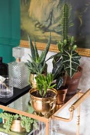 Prices for a piece of garden bar cart can differ depending upon size, time period and other attributes — at 1stdibs, they begin at $500 and can go as high as $8,610, while the average can fetch as much as. How To Create An Indoor Garden Honestly Wtf