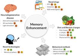 Memory games for elderly : Delaying Memory Decline Different Options And Emerging Solutions Translational Psychiatry