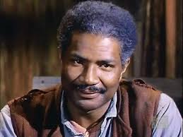 Comfort TV: Bonanza: A Classic for Every Season (Summer of MeTV)