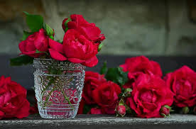 We did not find results for: ÙˆØ±ÙˆØ¯ ÙˆØ±ÙˆØ¯ Ø­Ù…Ø±Ø§Ø¡ Ø¨Ø§Ù‚Ø© Ù…Ù† Ø§Ù„ÙˆØ±ÙˆØ¯ Ø²Ø¬Ø§Ø¬ Ø§Ø²Ù‡Ø± Ø§Ù„ÙˆØ±Ø¯ Ø£Ø­Ù…Ø± Ø²Ù‡ÙˆØ± Ø§Ø±ØªÙØ¹ Ø§Ù„Ø­Ù„Ù… Ø¨Ø·Ø§Ù‚Ø© ØªØ­ÙŠØ© Ø´ÙƒØ±Ø§ Ø¬Ù…Ø§Ù„ Pikist