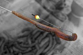 Fur Wattwurmer Ein Muss Forellen Angeln Angeln Wurm