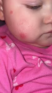 What is this thing? Kinda looks like a carpenter ant but also looks more  beetle like than they do. Vancouver island BC