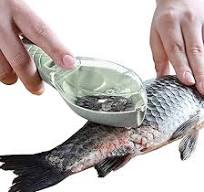 Fish Scaler, Fast Fish Scale Remover, Fish Descaler Tool Skin Brush  Scraping Cleaning Peeler Scraper Green