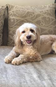 UPDATE 12/22: Karolyn was located and is safe. Thank you! Please help us  locate 17-year old Karolyn Aspiolea. Karolyn was last seen