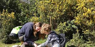 Naze wildlife discovery