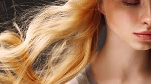 We did not find results for: Feines Haar So Kommt Volumen Auf Den Kopf Brigitte De