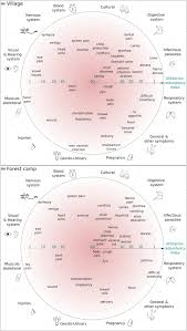 Image result for Thomandersia hensii