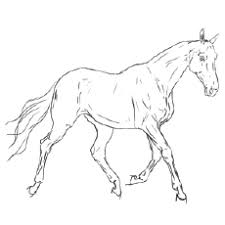 Realistic horse coloring pages are a fun way for kids of all ages to develop creativity focus motor skills and color. Realistic Horse Coloring Pages For Kids Drawing With Crayons