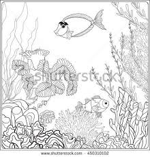 Pin On Sea Life Pics And Projects