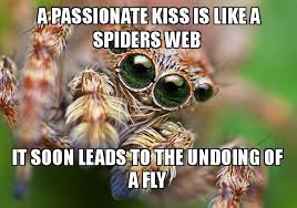 A Passionate Kiss Is Like A Spiders Web It Soon Leads To The Undoing Of A Fly Hipster Spider Make A Meme