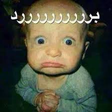 Sara Saadi (@sarasaadi10)