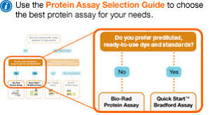 Interference in the lowry method for protein determination. Protein Assay Kits And Cuvettes Bio Recherche Bio Rad