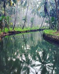 The Beauty Of Kerala 1000 Amazing Photos Wonders Of The World Kerala Cool Photos