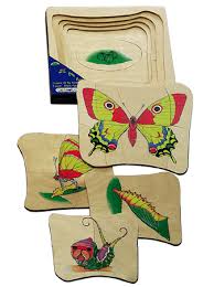 Download From Egg To Butterfly Layered Puzzle Butterfly Life Cycle Wooden Puzzles Best Kids Toys