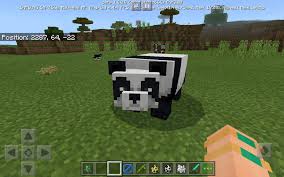While we wish & hope for an update it is most likely that panda taming will never be added to any base version of the game (without mods). The Panda Bamboo And Cat Mc Be 1 8 Update Minecraft Amino