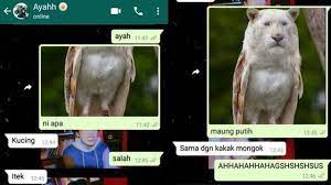 7 foto editan gabungan dua hewan ini. 6 Chat Tebak Gambar Ini Sukses Bikin Kamu Ikut Emosi Hot Liputan6 Com