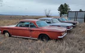 Image result for Sierra Fawn 1967 Corvair