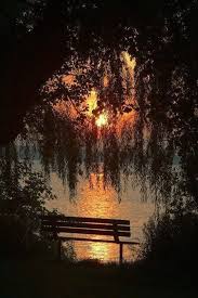 1016481 616490341803427 3284311563506004928 N Jpg Immagine Jpeg 480 720 Pixel Beautiful Photography Beautiful Nature Nature