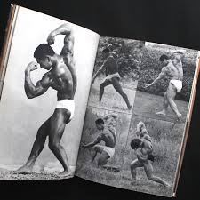 Image result for +bikyakudaimaou