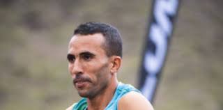 Toni McCann Archives