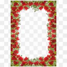 This perennial becomes the mvp of your red, white and blue flower garden in no time, especially when planted along a pond or water garden that needs a bit of glam. Rose Border Png Png Transparent For Free Download Pngfind