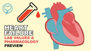 Congestive Heart Failure Chf Diagnostic Lab Values Pharmacology Preview Youtube